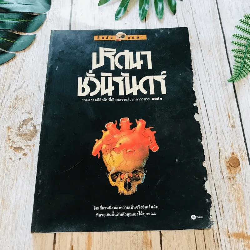 ชุดลึกลับอมตะ เล่ม 1-4 รูปที่ 7