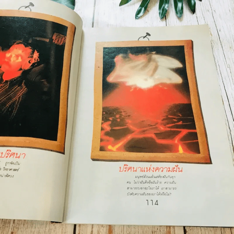 ชุดลึกลับอมตะ เล่ม 1-4 รูปที่ 27