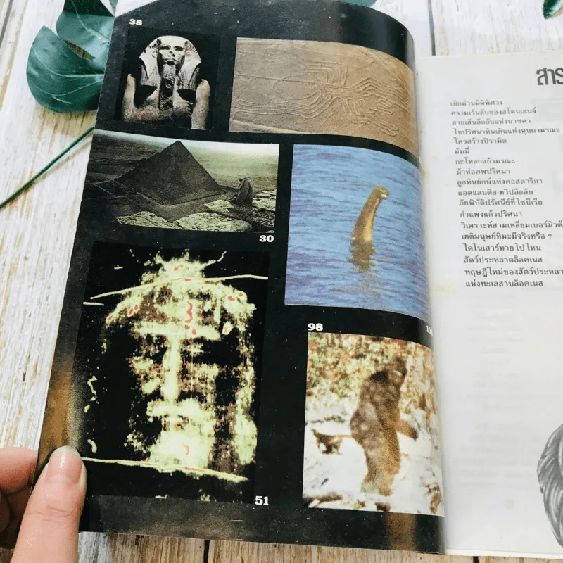 ชุดลึกลับอมตะ เล่ม 1-4 รูปที่ 36
