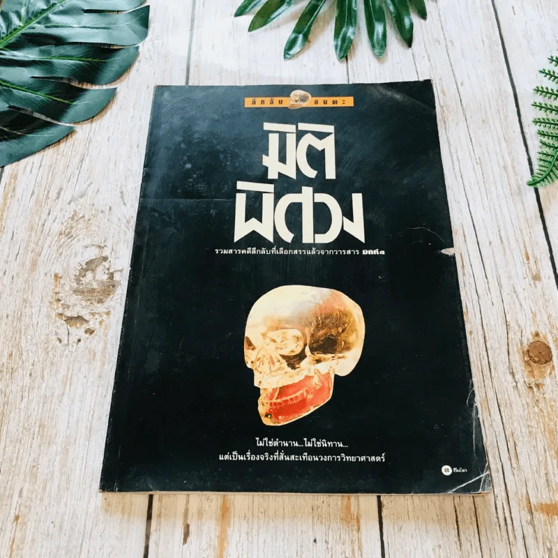 ชุดลึกลับอมตะ เล่ม 1-4 รูปที่ 6