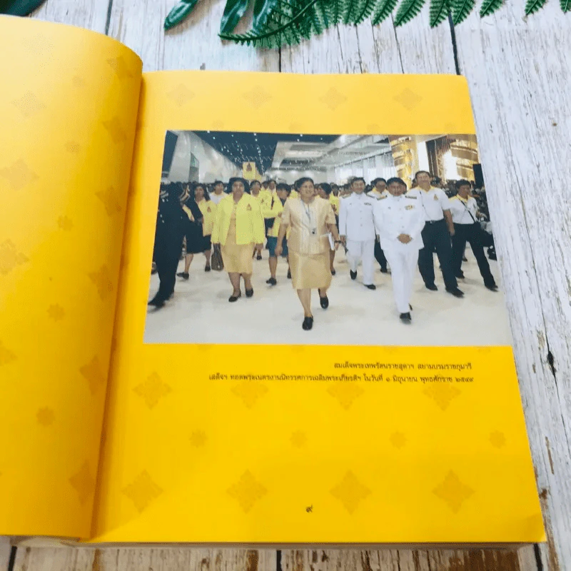 เหนือเกล้าชาวไทย รูปที่ 10