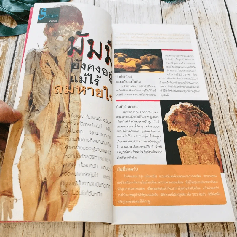 เล่มโปรด ปีที่ 2 ฉบับที่ 13 และ 18 Harry Potter รูปที่ 14