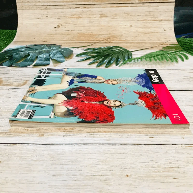 a day 101 ฉบับลูกทุ่ง รูปที่ 3