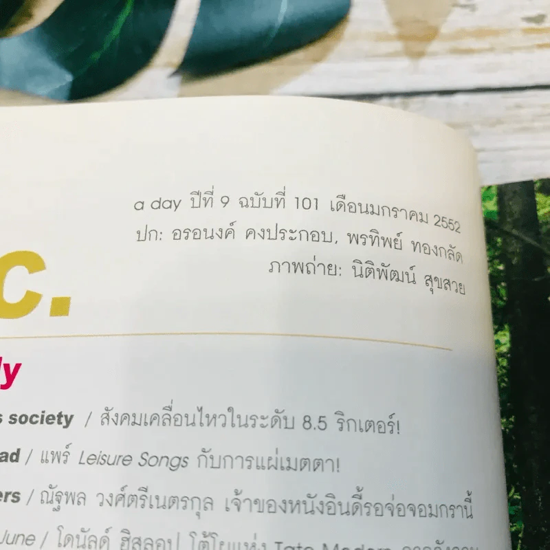 a day 101 ฉบับลูกทุ่ง รูปที่ 5