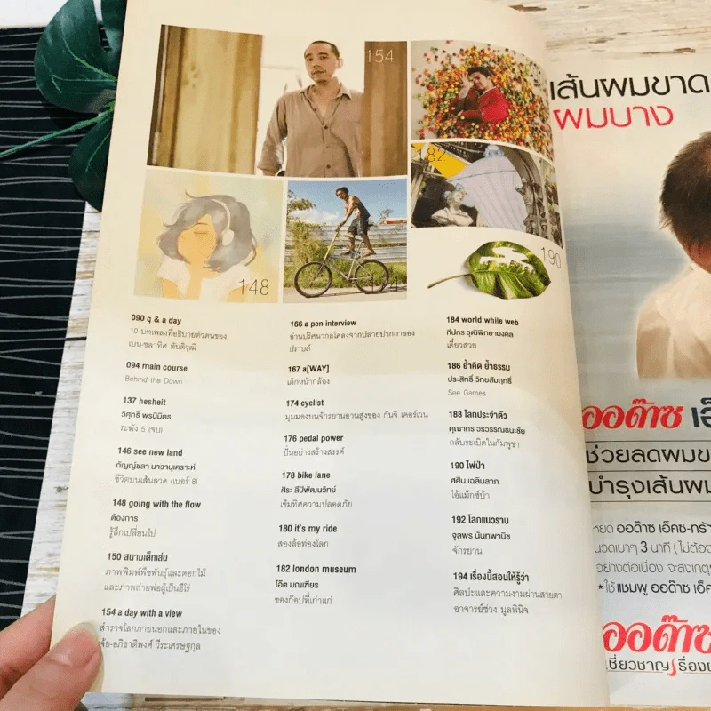 a day 179 The Down เป็นคนธรรมดามันง่ายไป รูปที่ 5