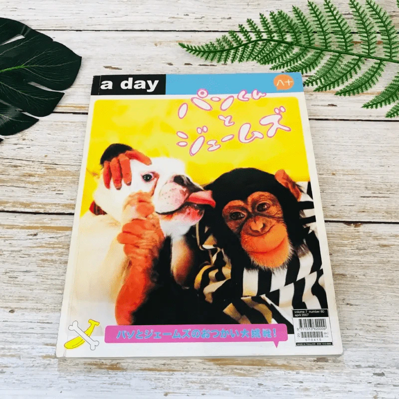 a day 80 รูปที่ 1