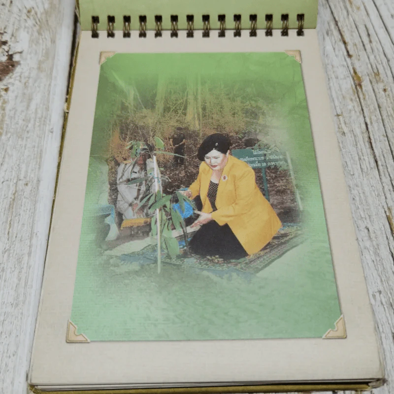 ปฏิทิน TOT 2547 แม่ของแผ่นดิน รูปที่ 15