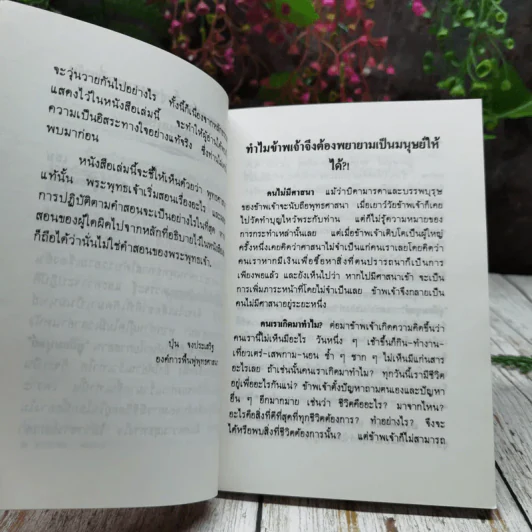 คู่มือมนุษย์ รูปที่ 8