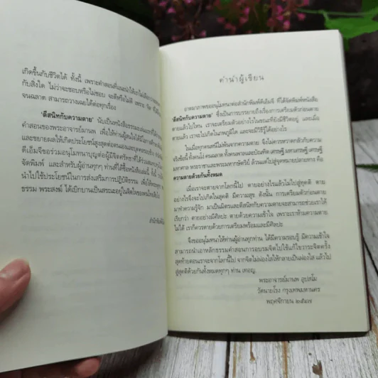 ตีสนิทกับความตาย รูปที่ 5
