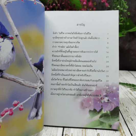 ธรรมสบายใจ รูปที่ 7