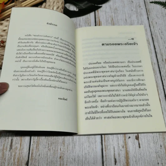ของฝากการเดินทาง รูปที่ 6