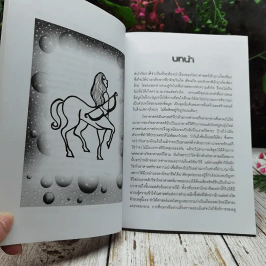 สปากับราศี รูปที่ 7
