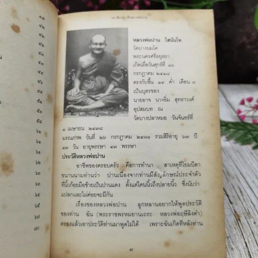 พระครูวิหารกิจจานุการ ประวัติหลวงพ่อปาน รูปที่ 6