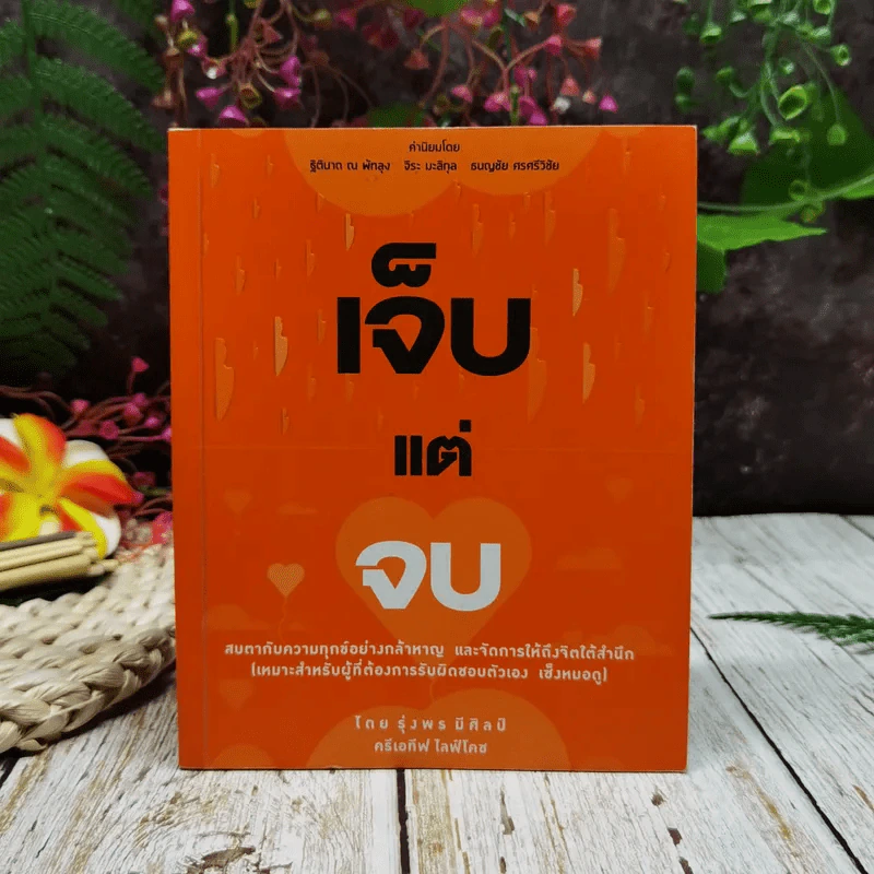 เจ็บแต่จบ รูปที่ 1