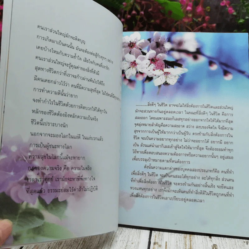 ธรรมสบายใจ รูปที่ 8