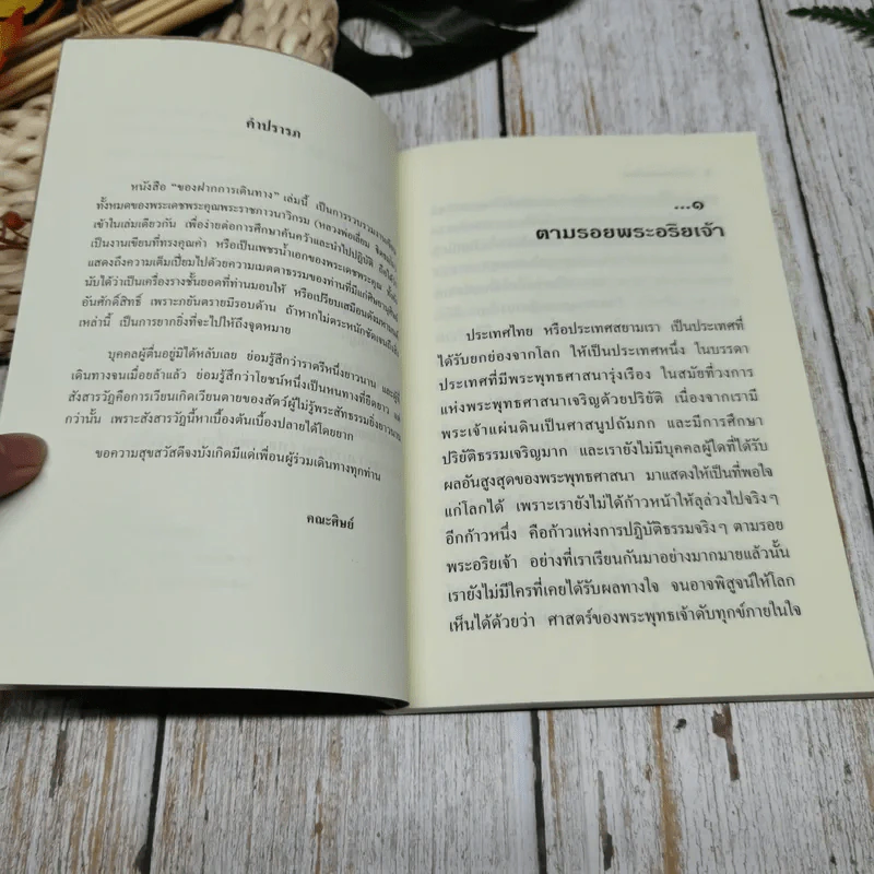 ของฝากการเดินทาง รูปที่ 6