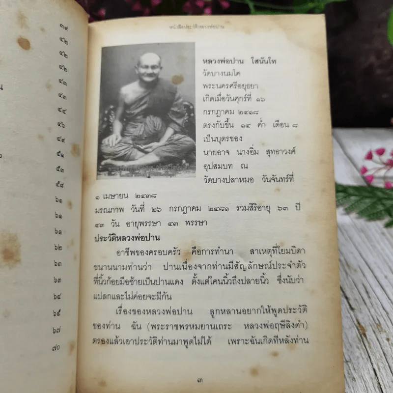 พระครูวิหารกิจจานุการ ประวัติหลวงพ่อปาน รูปที่ 6