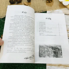 ขุนศึกมังกรดอย รูปที่ 6
