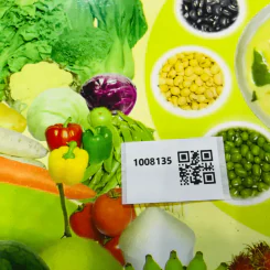 อาหารเจเพื่อสุขภาพ กินอย่างไรให้สุขภาพแข็งแรง รูปที่ 12