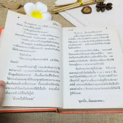 ผู้ดีอีสาน รูปที่ 9