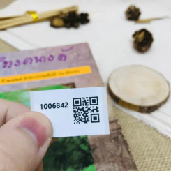 ปิ่นไพร รูปที่ 13
