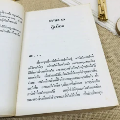 คนไททิ้งแผ่นดิน รูปที่ 10