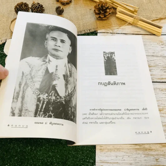 ฅนกบฏ รูปที่ 9