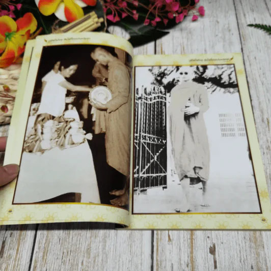 ภูมิพโลภิกขุ ร่มโพธิ์ของปวงประชา รูปที่ 10