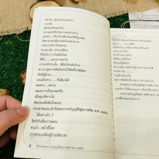 เรื่องเล่าการดำเนินงาน พระราชบัญญัติสุขภาพจิต พ.ศ.2551 ผู้ป่วยทางจิตมีชีวิตใหม่ รูปที่ 10