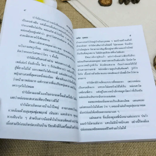 สาวน้อยร้อยฝัน รูปที่ 8