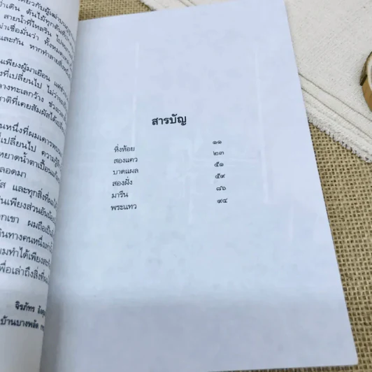สองฝั่งสองแคว รูปที่ 8