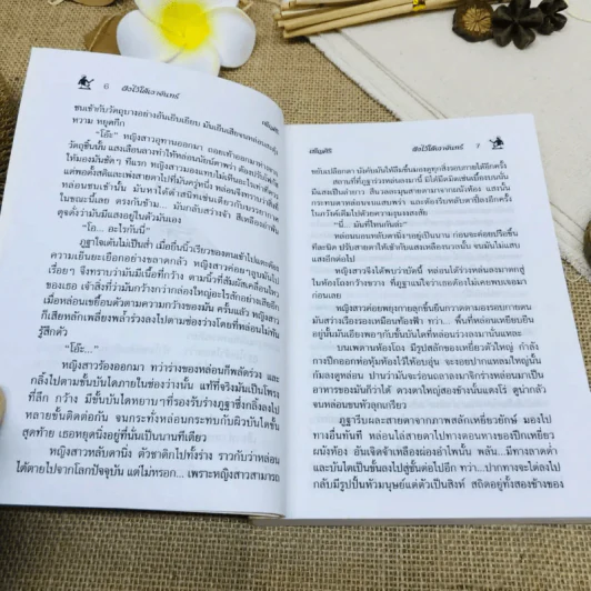 ฝังไว้ใต้เงาจันทร์ รูปที่ 9