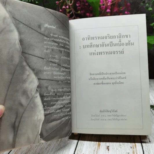 อริยวินัย รวบรวมจากพระไตรปิฎก รูปที่ 21