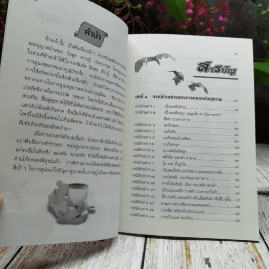 ถอดรหัสสุขภาพ ร้อน-เย็น ไม่สมดุล รูปที่ 5