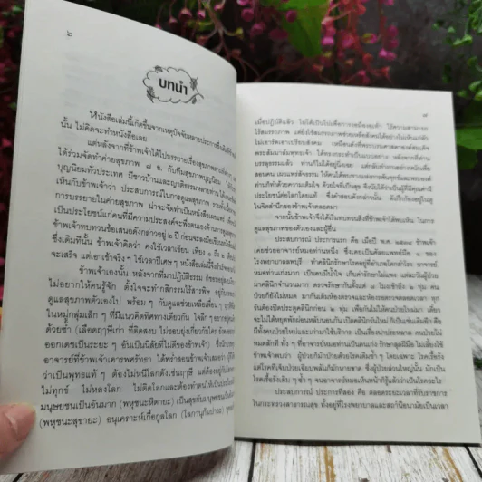 ถอดรหัสสุขภาพ ร้อน-เย็น ไม่สมดุล รูปที่ 7