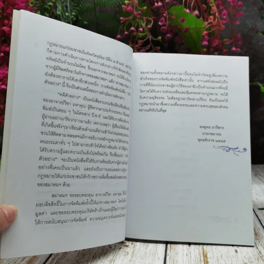 คดีตัวอย่าง รูปที่ 8