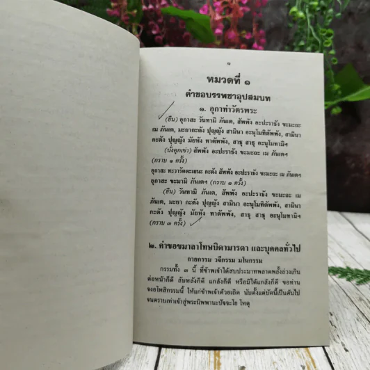 หนังสือพิธีมนต์ รูปที่ 11