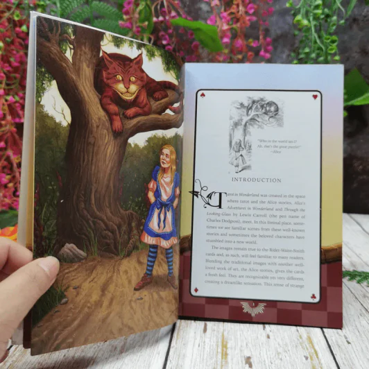 Wonderland in Tarot รูปที่ 8