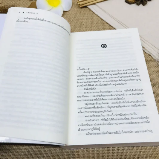 เพลิงพราย รูปที่ 10