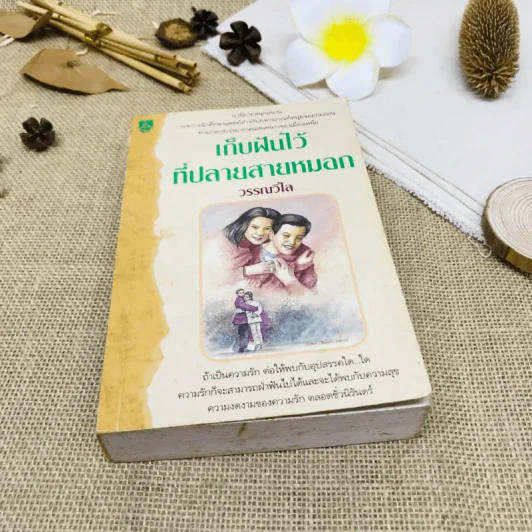 เก็บฝันไว้ที่ปลายสายหมอก รูปที่ 1