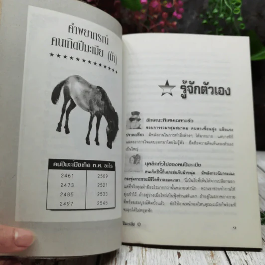 ศาสตร์แห่งการพยากรณ์ ชุด 12 นักษัตร ปีมะเมีย รูปที่ 8