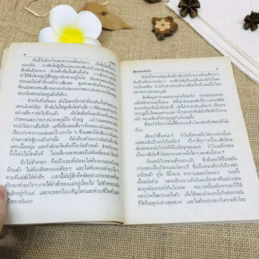 ตามล่า รูปที่ 8
