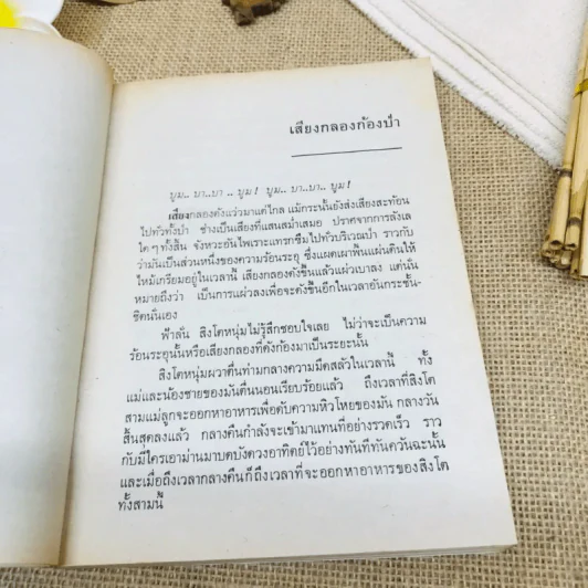 ตามล่า รูปที่ 7