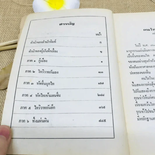 คนไททิ้งแผ่นดิน รูปที่ 8