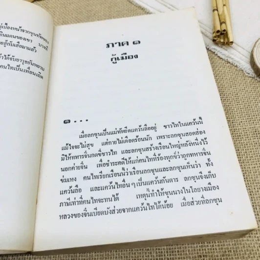 คนไททิ้งแผ่นดิน รูปที่ 10
