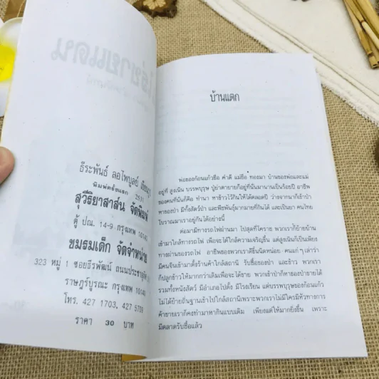 บ้านไร่ชายแดน รูปที่ 9