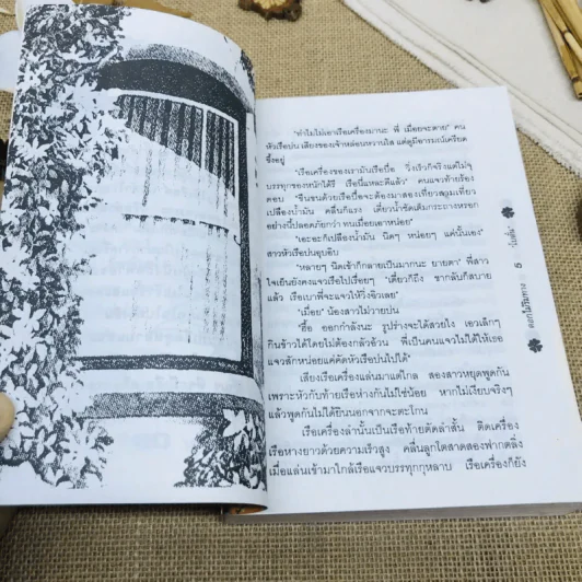 ดอกไม้ริมทาง รูปที่ 8