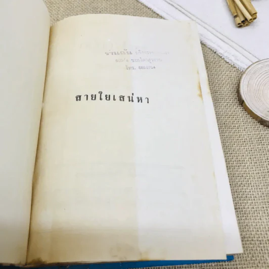 สายใยเสน่หา รูปที่ 7