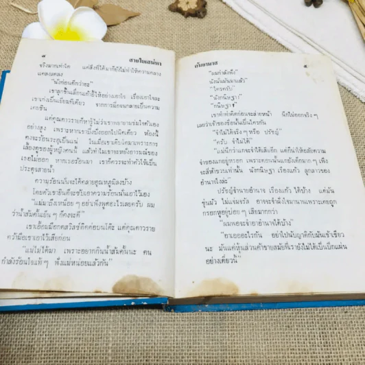 สายใยเสน่หา รูปที่ 11