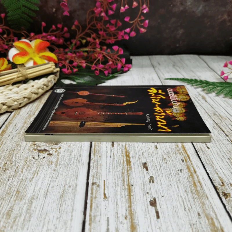 ดนตรีพื้นบ้าน อีสาน-ล้านนา รูปที่ 3